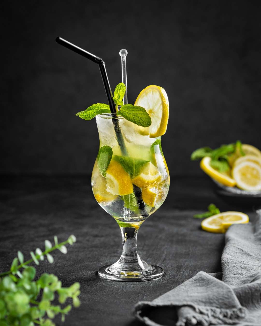 Fresh Lemon Mojito